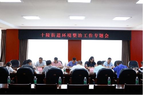 环境整治提升颜值 十陵街道持续推进治理龙顺二手车市场生态环境问题